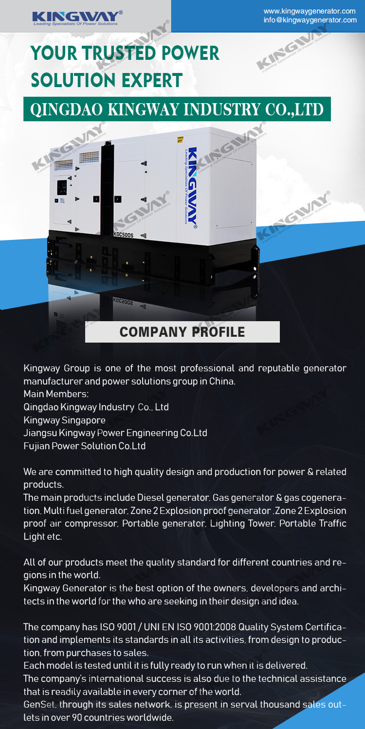 Power plant use container Natural Gas Generator 800kw 1000KW Silent Single Phase three phase 380V/220V Auto Start Brushless