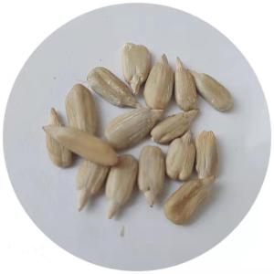 High quality confectionery grade and barkey grade sunflower seed kernel for