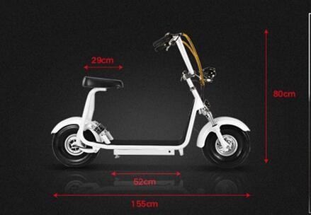 Citycoco Easy Rider 48V 500W Electric Scooter with Small and Exquisite Design On Buyers