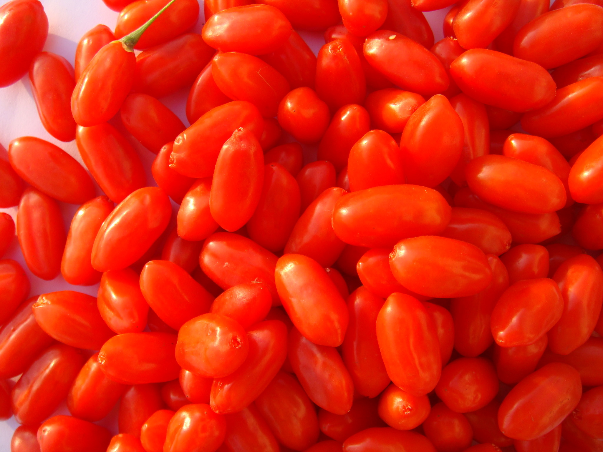 NOP EU Certified Organic Goji juice concentrate 100% goji berry juice concentrate the lycium chinese of ningxia