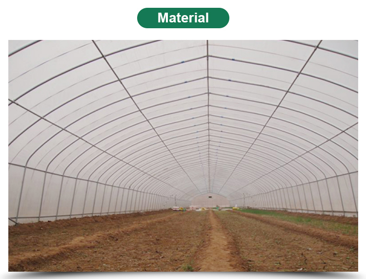 Tunnel Greenhouse for Strawberries and Tomatoes Planting Fast Delivery within 30 Days