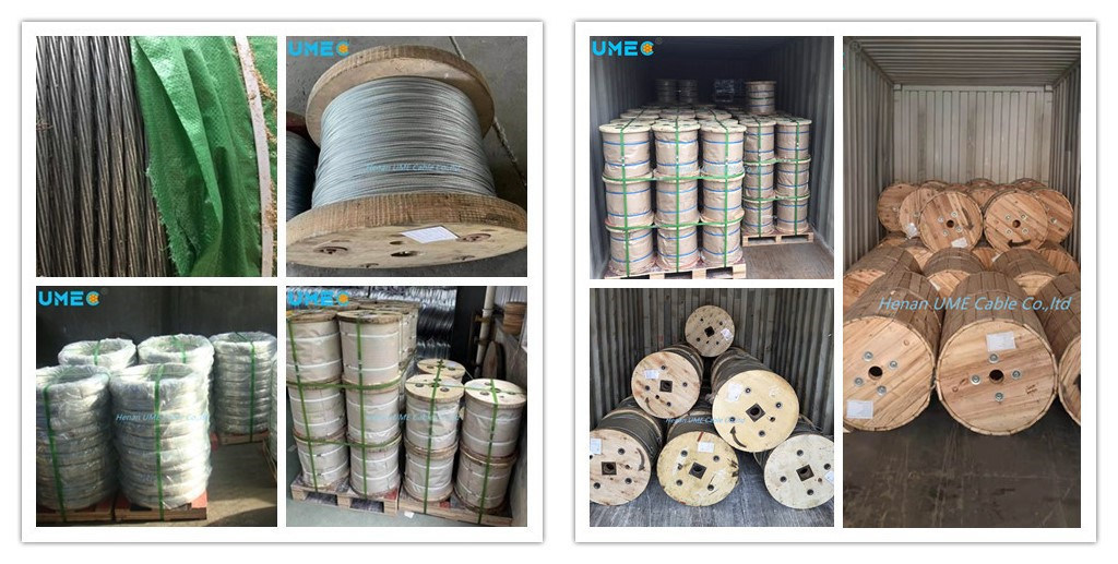 ASTM A475 Standard Galvanized Steel Wire/Stay Wire/Guy Wire Strand