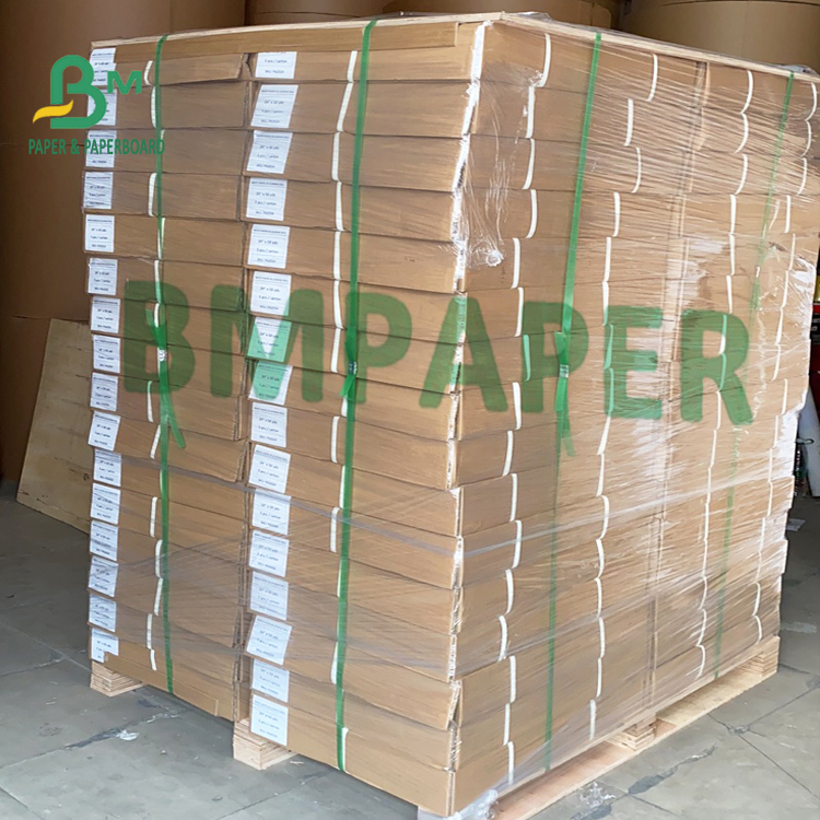 Architectural Drafting Paper
