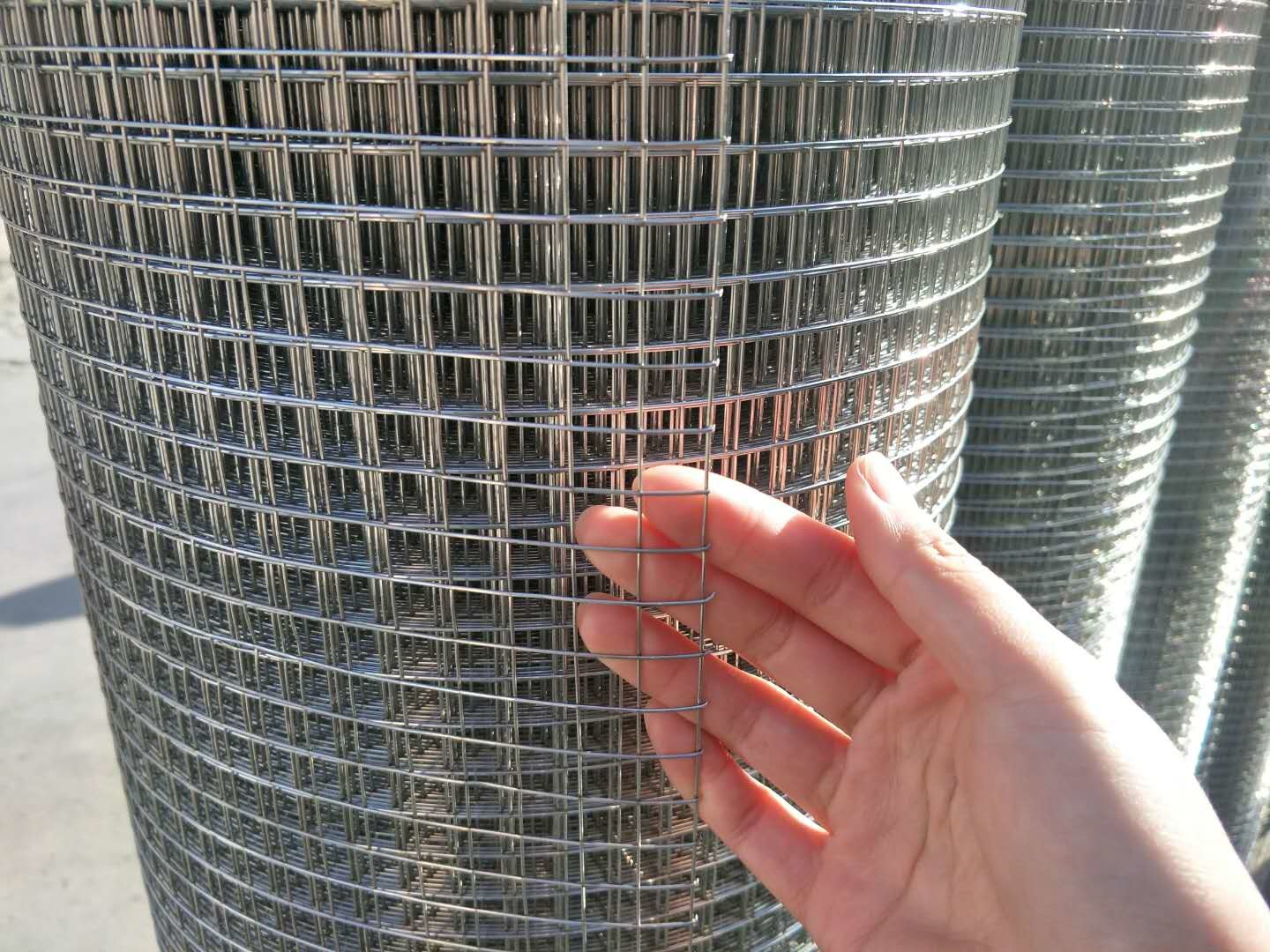 Rabbit Bird Cage Ss304 Ss316 Plain Weave Wire Mesh 30m Length