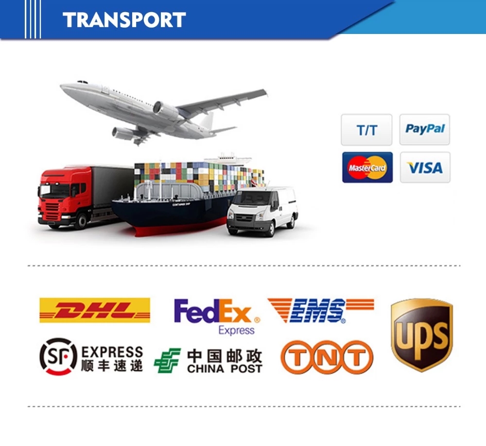 Custom Service Injection Molding Plastic Materials Products Box ABS Custom Processing
