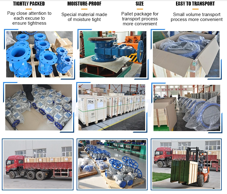 Customized Double Flanged Concentric Eccentric Butterfly Valve for Optimal Performance