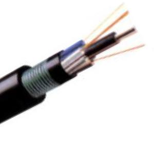  Armored and Double Sheathed Fiber Optical Cable , outdoor optical fiber cable GYTY53 Manufactures