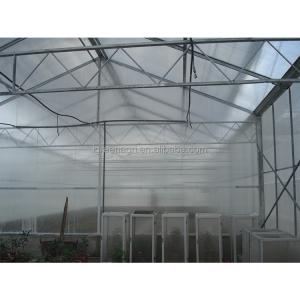 WL108Y Large IGreen Polycarbonate Panels Customized Length for Greenhouse