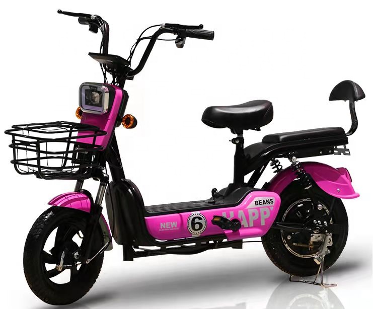 Two Wheel Electric City Bike With Pedals 350W Speed Motor Full Suspension Ebikes