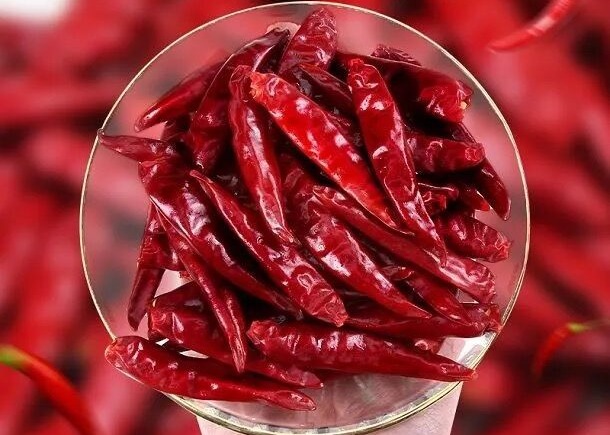 Grade A Air Dried Tien Tsin Chili Pods For Cuisine Cooking