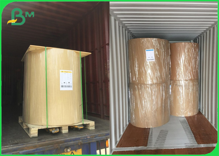 PE Laminated White Paper Glossy Coated Base Paper 80gsm + 10g