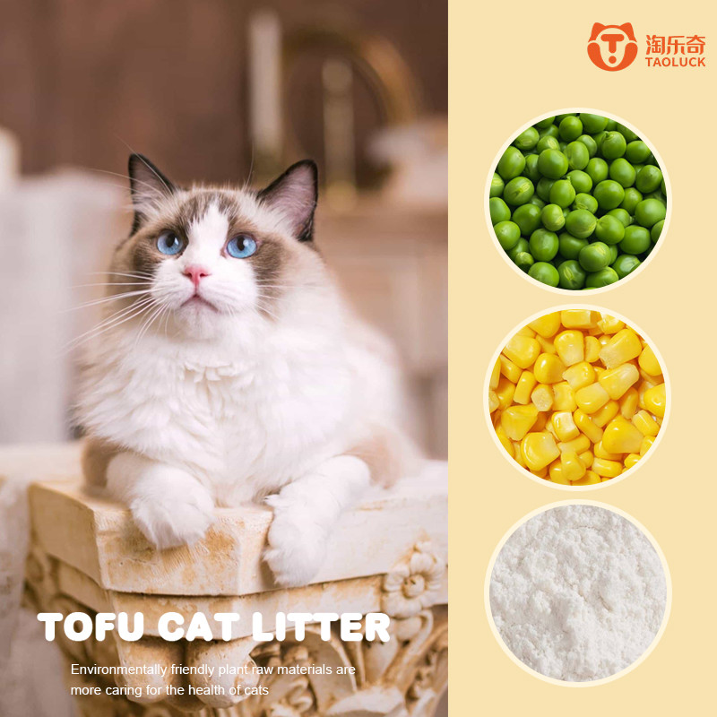 Green Tea 6L Kitty Litter With No Dust Bulk Cat Litter For Sale