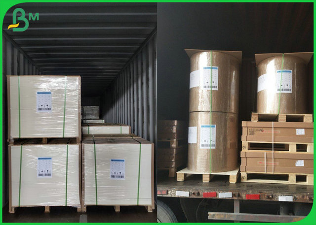 70gsm 80gsm Bleached Foodgrade Polyethylene Coated Paper For Pacing Wooden Cutlery