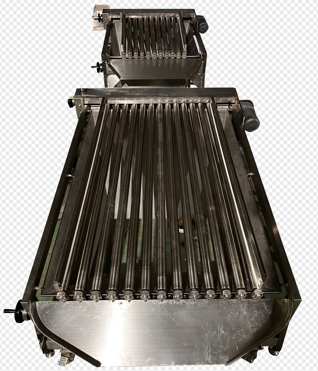 Four Styles Automatic Pelagic Fish Grading Line And Sorting Small Fish Equipment