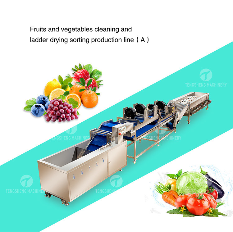 Tengsheng High Voltage Spraying Fruit And Vegetable Processing Line Industrial residual degradation