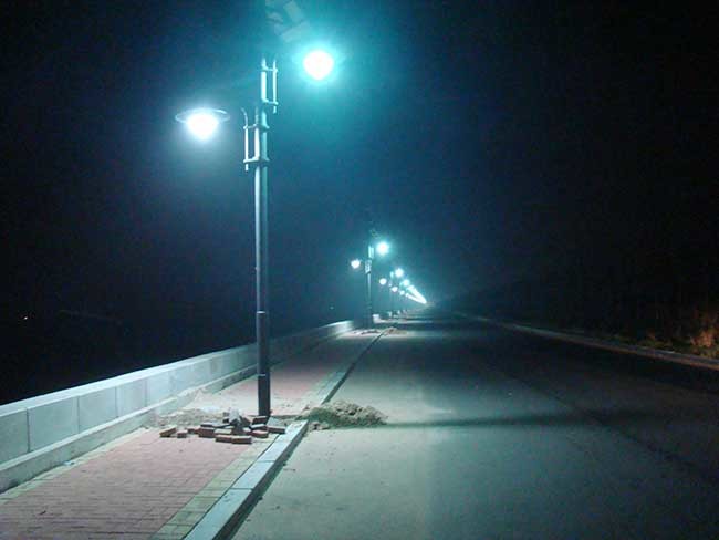 Professional Wind And Solar Hybrid Street Light System 80W Solar Panel
