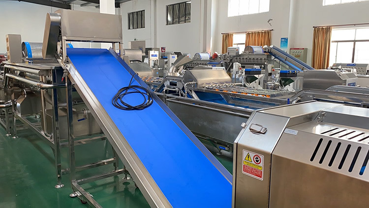 Industrial Fruit Vegetable Processing Machine ozone washing machine