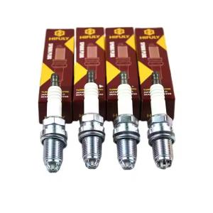 ILZTR6A8G 94769 Vehicle Spark Plugs Engine Spark Plug For Maverick 1.6T