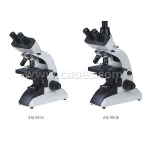  40X 1000X Learning Compound Optical Microscope Halogen Illumination Microscopes Manufactures