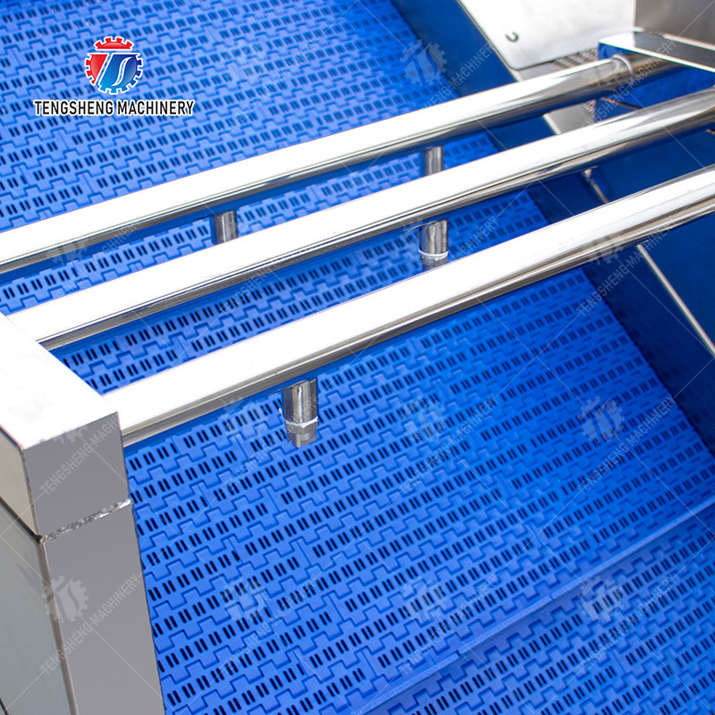 1500KG/H Fruit Vegetable Washing Machine With Stainless Steel Material
