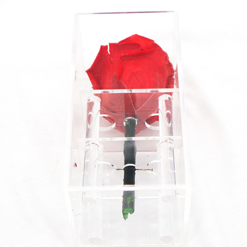 Decorative Beautiful Preserved Rose Flower With No Pollen / No Allergy