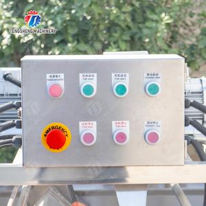 Streamline Your Manufacturing Process with Our Advanced Fruit And Vegetable