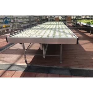  Green House Ebb And Flow Rolling Benches Medical Plants Nursery Hydro Flood Tables Manufactures