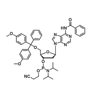 Custom Oligonucleotide Primer Synthesis dA dC dG dT Phosphoramidite