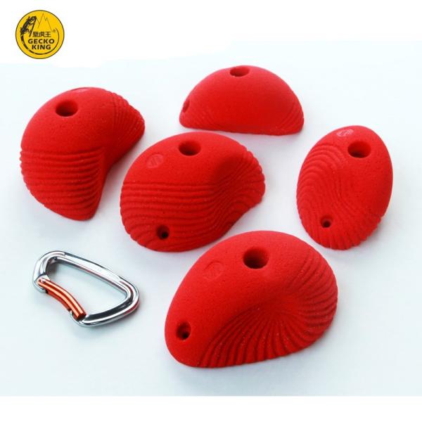Upgrade Your Outdoor Playground with XL Size Rock Climbing Wall Holds Contact