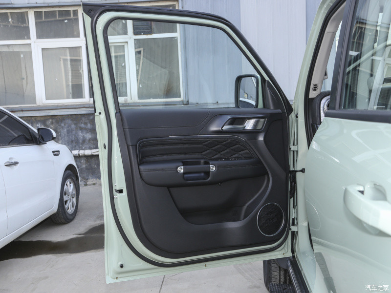 Diesel Or Gasoline Car 2023 Tank300 2.0T City Model Must Version Gasoline Compact SUV