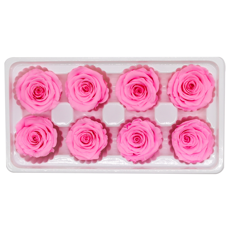 DIY Pink Preserved Rose Heads Pretty Appearance Keeping Everlasting Memory
