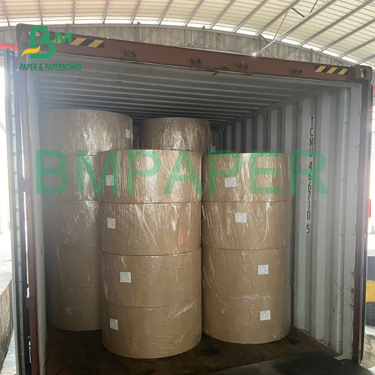 seal gasket
