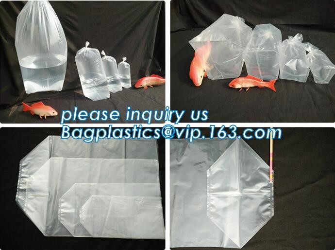 Poly Bags, Plastic Bags & Clear Bags in Stock, Poly Bags | Plastic Bags for Shipping | Staples, Poly & Plastic Packaging