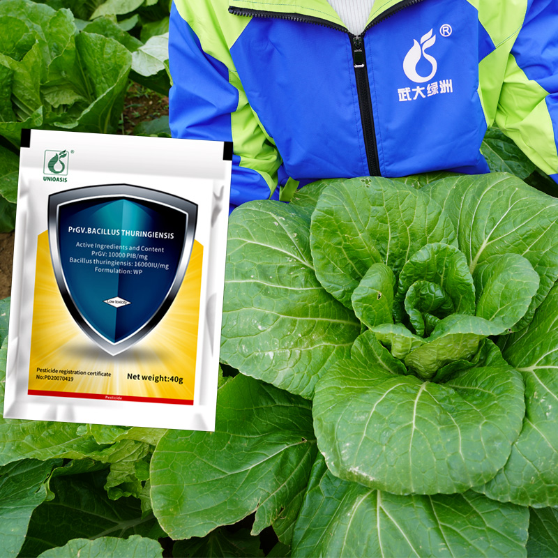 Spray Vegetable Natural Organic Biological Insecticides Wettable Powder Effective Against Adults & Eggs Diamondback Moth