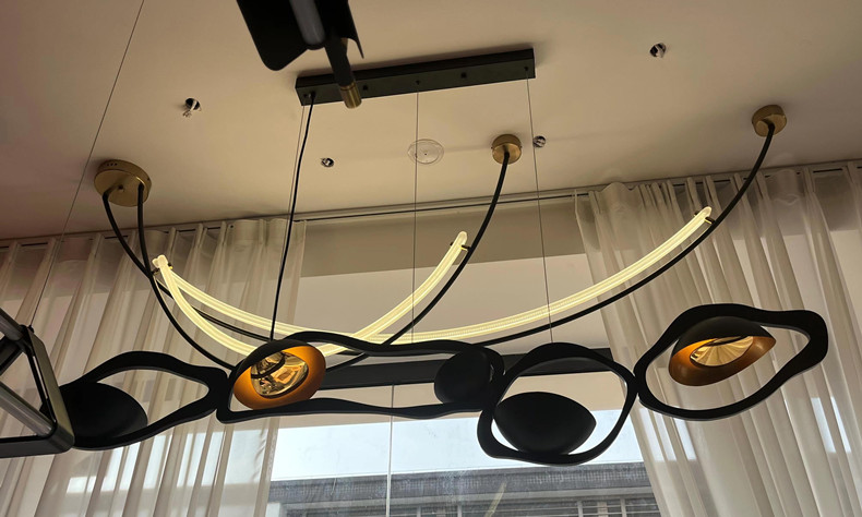 Designer Chandelier Nordic Dining Room Atmosphere Lamp Black Stainless Steel Chandeliers(WH-MI-387)