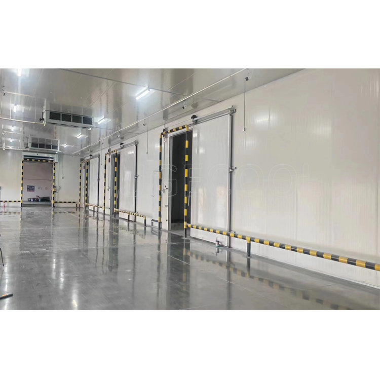 Large Freezer Cold Room For Vegetable Portable Refrigeration Unit
