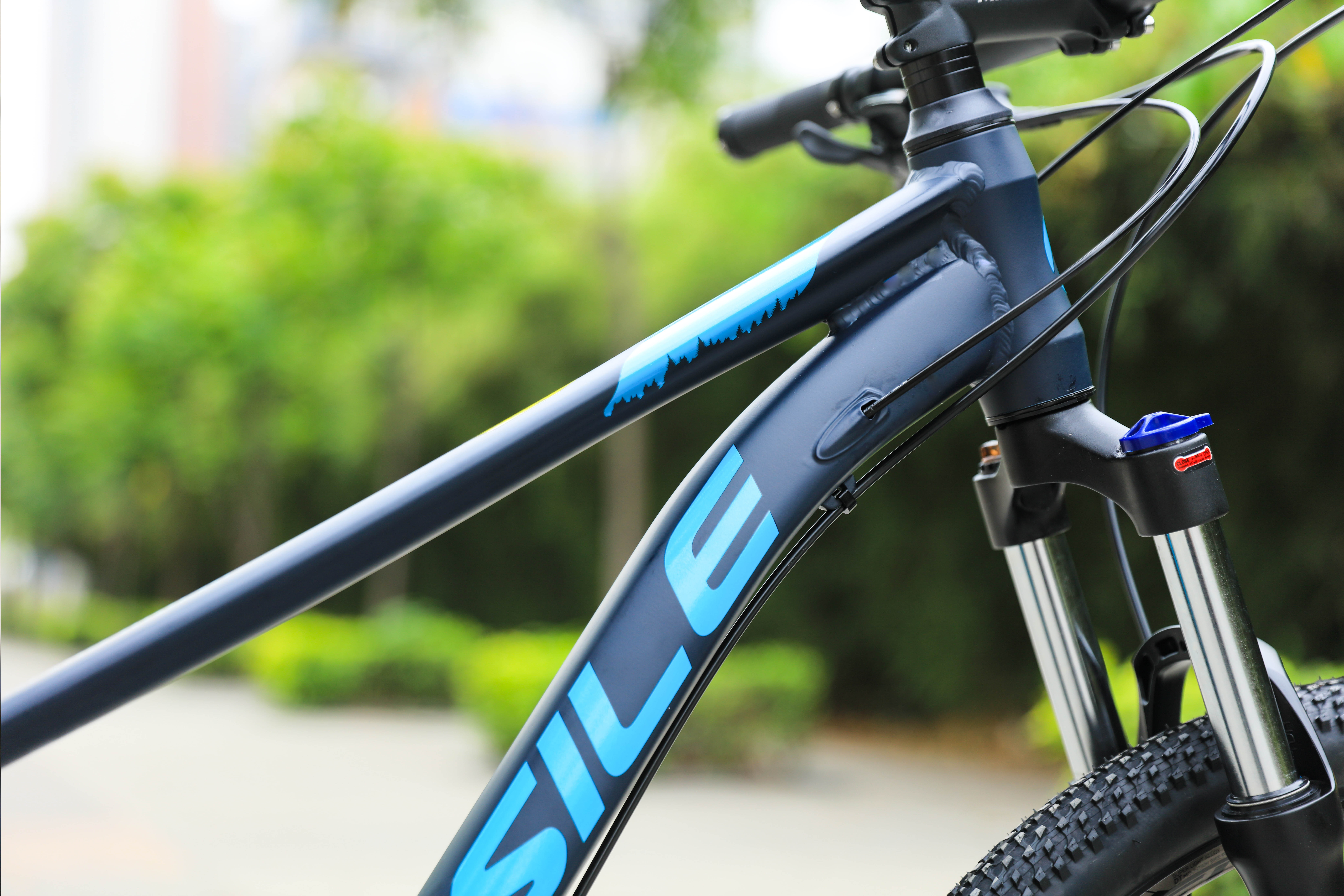 Teenager Christmas Gift 24 Speed Mountain Bike with Titanium Frame and Durable Design