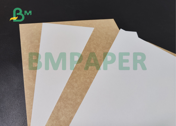 325gsm 350gsm White Top Kraft Back Paper For Food Grade Package 72cm 76cm