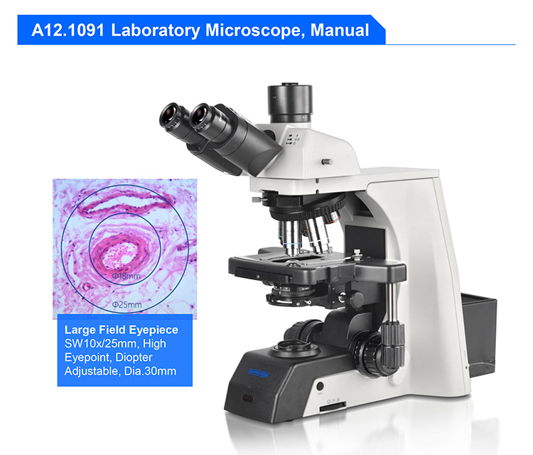 OPTO-EDU A12.1091-H Manual Research 25mm Science Lab Microscope