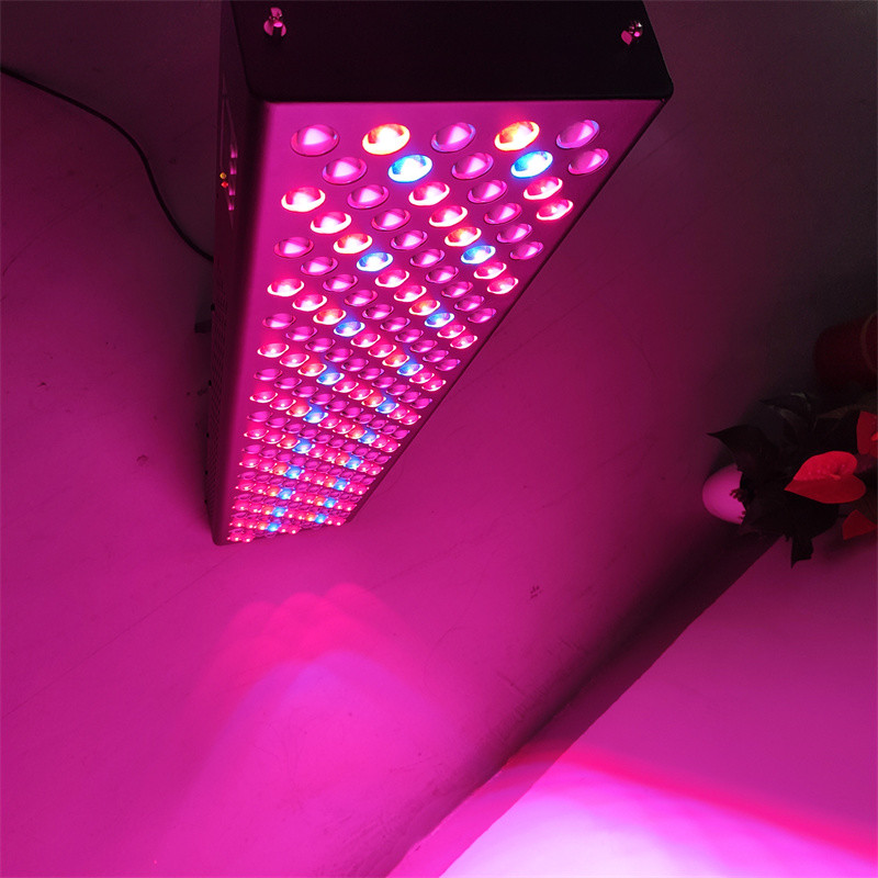 7 Wevelengths Infrared Red Light Therapy For Whole Body Skin Rejuvenation
