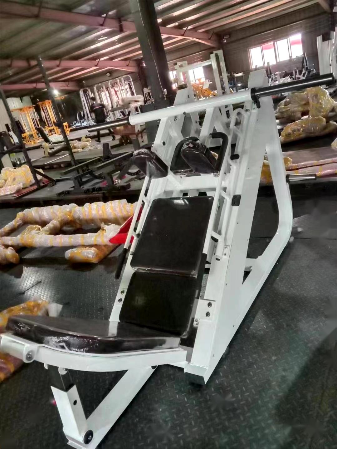 Plate Loaded 45 Degree Leg Press Hack Slide Calf Glutes Hack Squat Gym