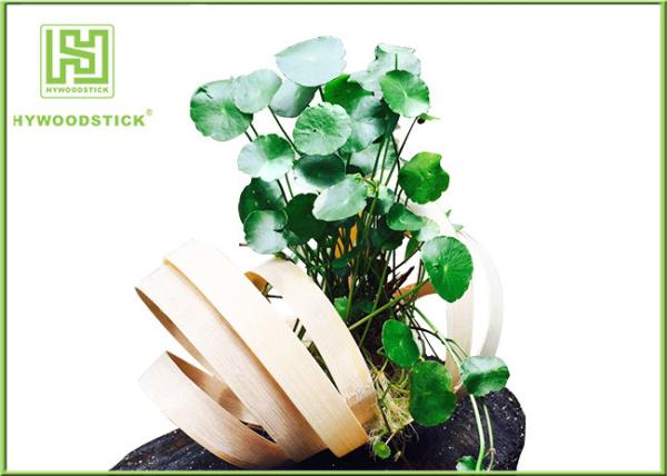 Unique Bamboo Plant Pot Hanging Flower Box , Bamboo Flower Containers Customized