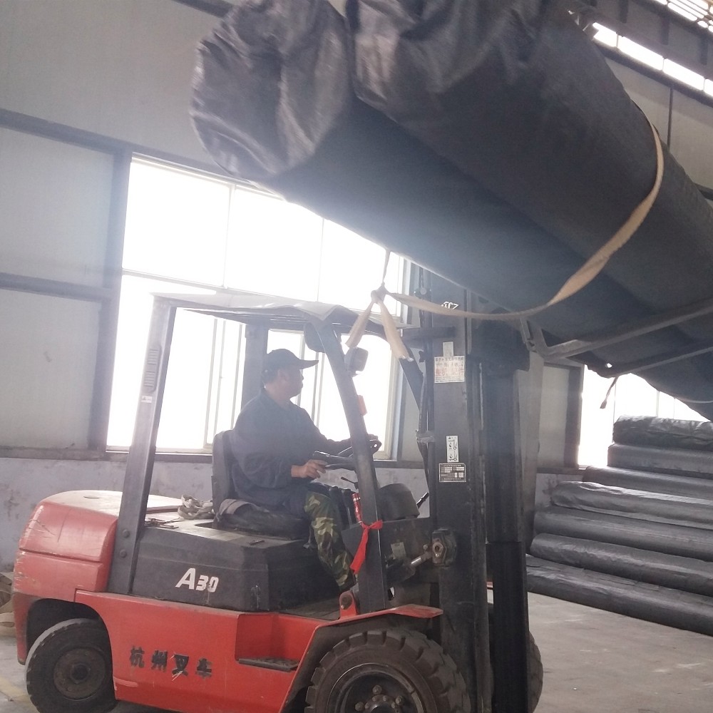 Anti-Corrosion Impermeable Geomembrane for Landfill Design Style in Mexico 1mm Thickness