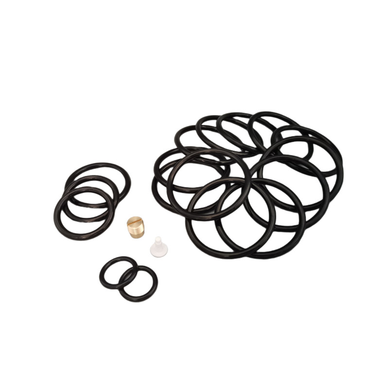 Ozone And Aging Resistance Waterproof NBR HNBR FKM Rubber 312 Shorty Redress Kit For Oil Filed Completion Tools