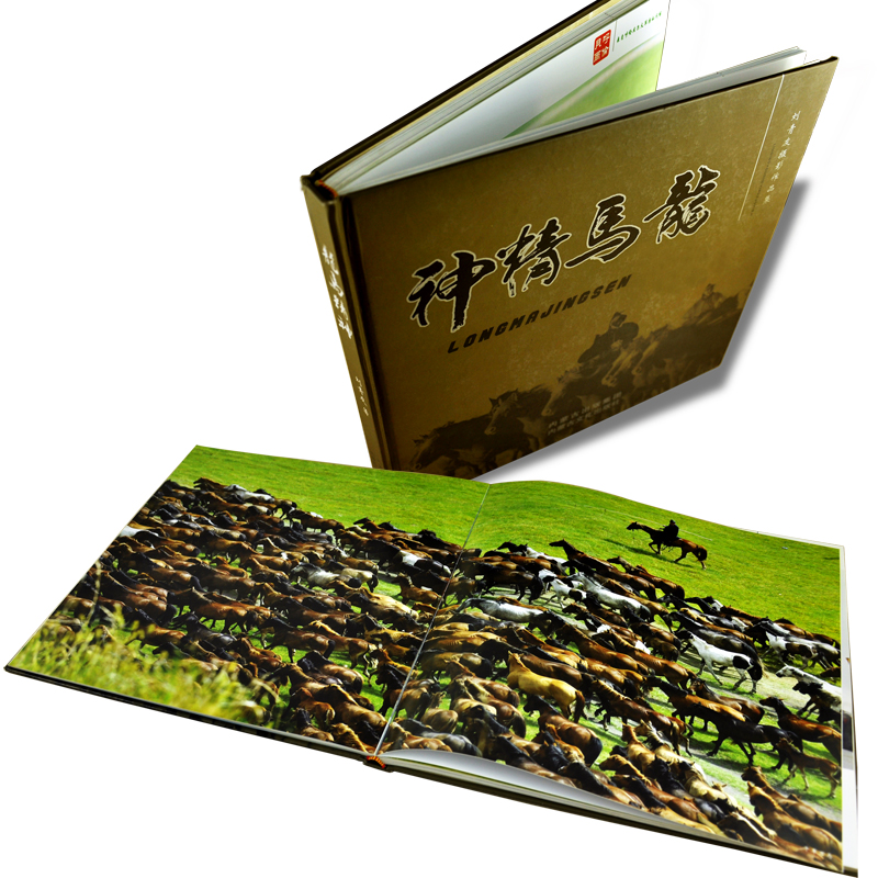Custom Shapes Short Run Hardcover Book Printing Over Size Bill Book Printing Services
