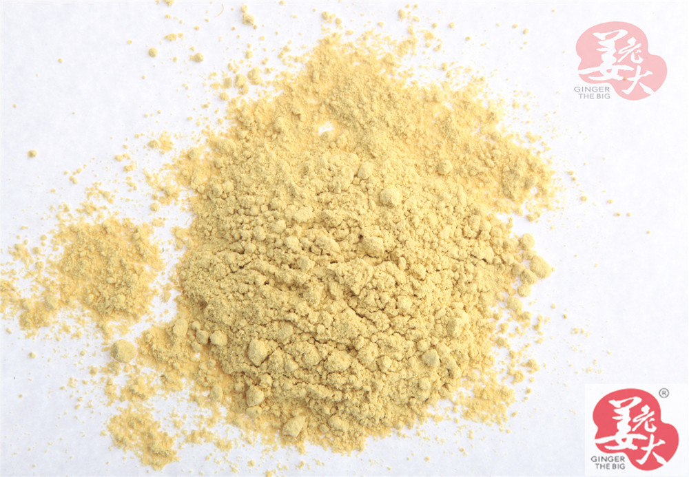 HALAL 80mesh 120mesh Dehydrated Garlic Powder In Low Bac