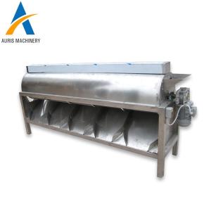 Roasting Dryer Nuts Processing Machine Peeling Cashew Grading Machine