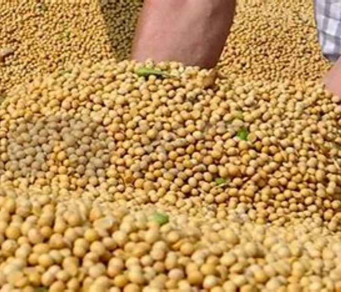 Air System Precision Seeder Agriculture Equipment 8 Rows Corn And Soybean Rated Power Input Speed 540 R/Min