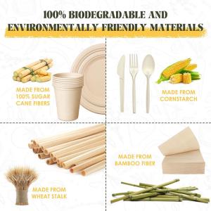 100% biodegradable Paper Tableware Sugarcane Bagasse Disposable Plates Sets