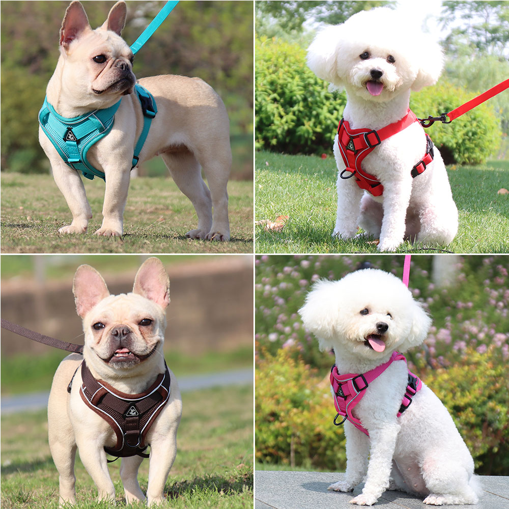 Polyester Reflective Pet Vest 1.5m Traction Leash Blue Dog Harness